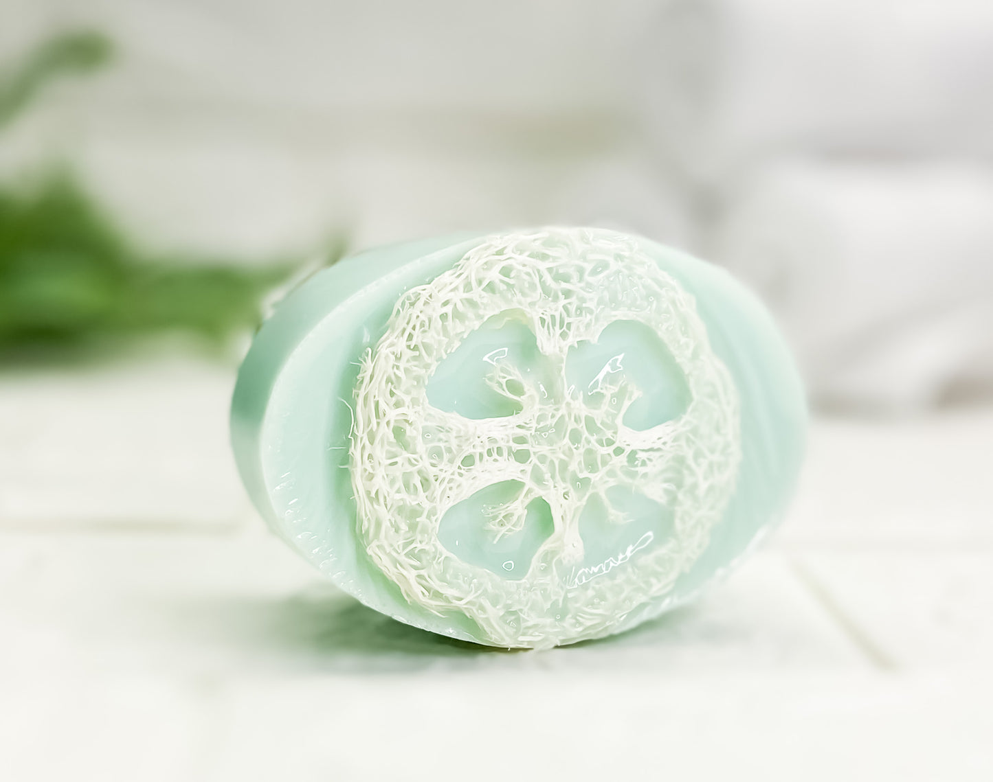 Eucalyptus MInt Luffa Massage Soap Bar