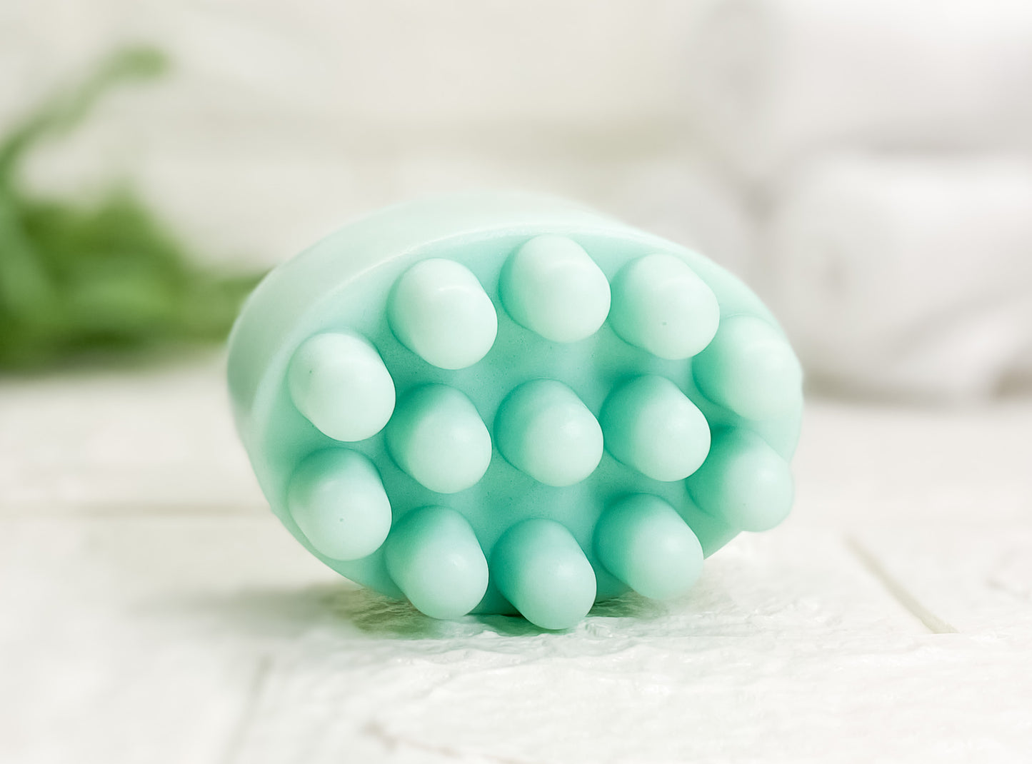 Eucalyptus MInt Luffa Massage Soap Bar